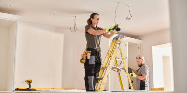 Best Electric Panel Repair  in Minnetrista, MN
