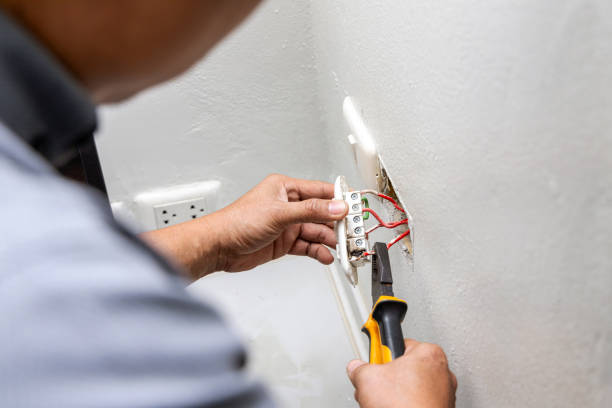 Best Ceiling Fan Installation Electrician  in Minnetrista, MN